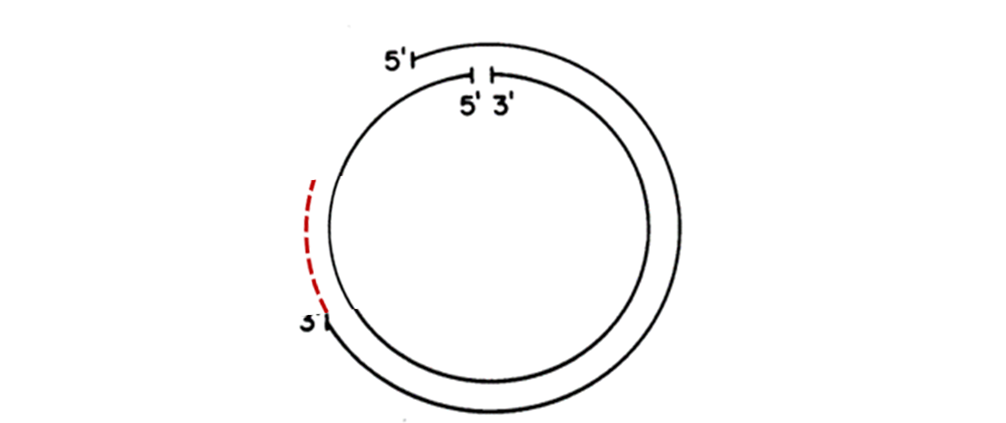 640 (38).